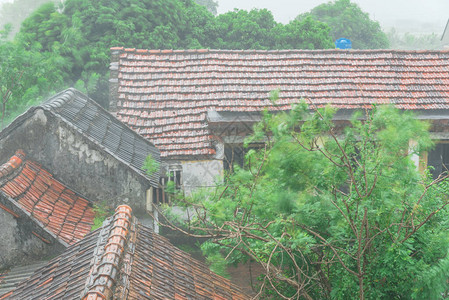 鸟瞰越南北部偏远村庄古瓦屋顶上的强降雨和有花园和槐树的越南乡村住图片