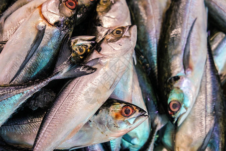 在传统市场上销售新鲜品种的海鲜食品欧图片