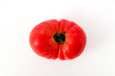 白色背景上的变形番茄图片