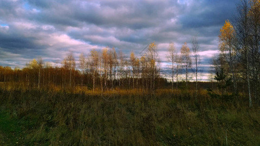 日落时的田野和秋天的森林图片