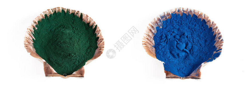 蓝色和绿色螺旋藻粉健图片