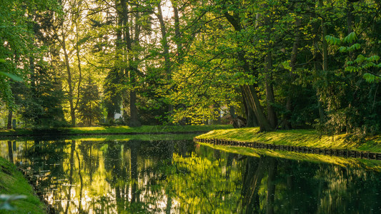 在波兰格但斯克奥利瓦公园中央有一个绿色的灌木和水坑图片