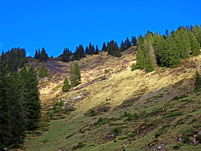 皮拉图斯地块斜坡和山脚下的高山谷中的高山牧场和草原图片