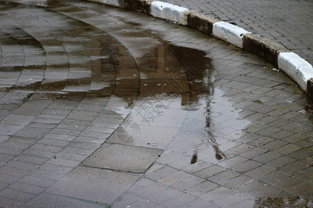 在雨季在城市环境中的大型行人便不图片