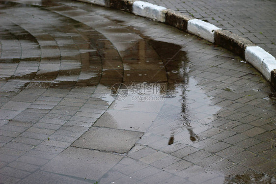 在雨季在城市环境中的大型行人便不图片