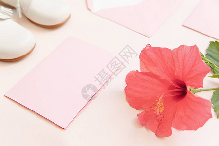 邀请纸和红色的hibiskus图片