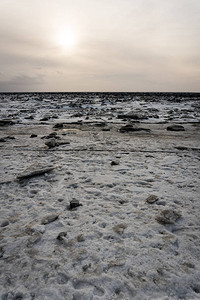 在阿拉斯加安克雷奇的海岸上破冰融化图片