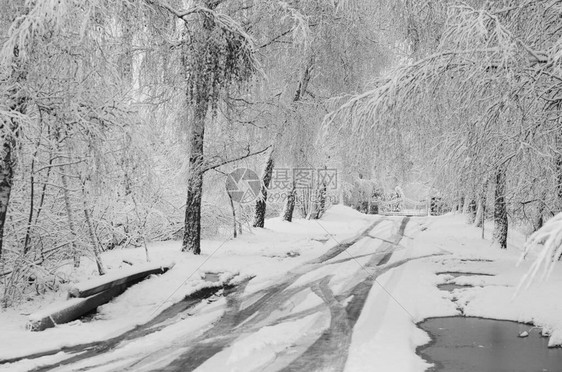雪景冬天覆盖木材霜视图图片