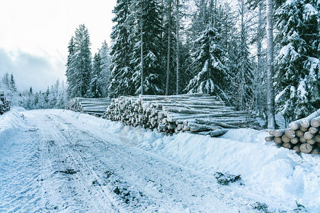 斯堪的纳维亚拉普兰的雪路图片