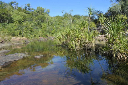 澳大利亚领土Kakadu公园岩池的景观图景图片
