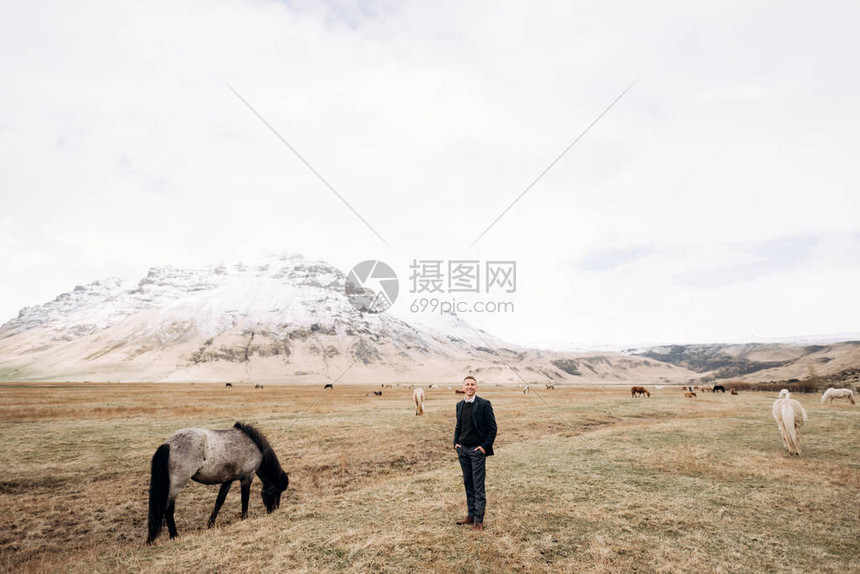 在一片黄色草地上图片