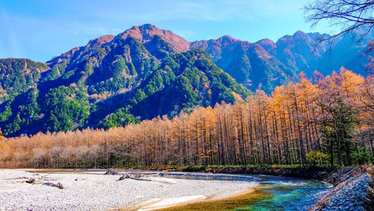 日本长野县北阿尔卑斯山上高地公园风景秀丽的秋叶山与清水河图片