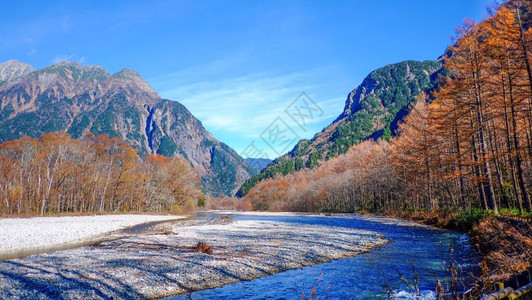 日本长野县北阿尔卑斯山上高地公园风景秀丽的秋叶山与清水河图片