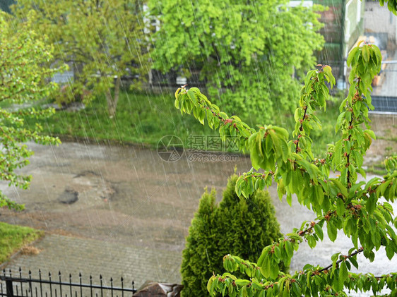 窗外夏雨的照片高质量的照片图片