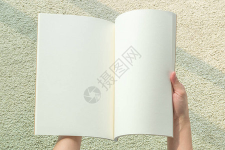 妇女手中空白的开放书模拟板背景图片