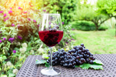 葡萄果实在一杯深紫色的红酒和一串新鲜的深黑浆果成熟葡萄上背景图片