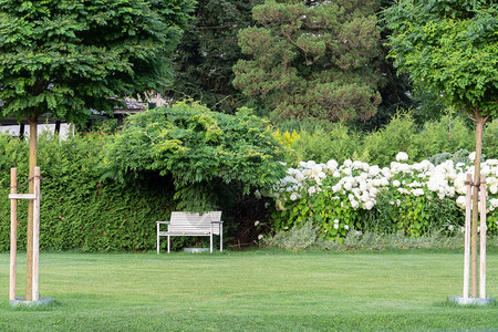 用树木草坪鲜花和白凳子对领土背景图片