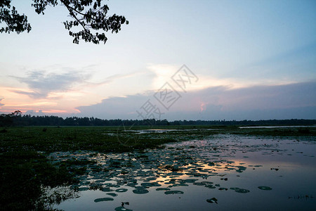 斯里兰卡湖景图片