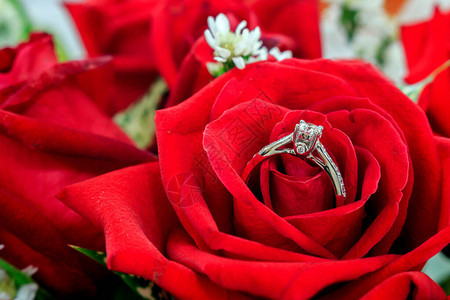 红玫瑰花上的结婚戒指背景上闪光和图片