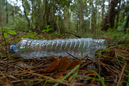 在树林里丢弃塑料瓶图片