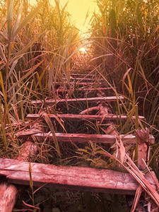 日落时池塘上的木码头湖中的木码头图片