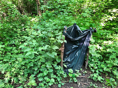 由黑塑料袋堆在森林中收集垃圾保持清洁自然生态概念action背景图片