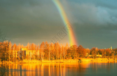 树木和湖泊上的天然彩虹图片