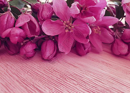 木制背景框架上的玉兰花图片