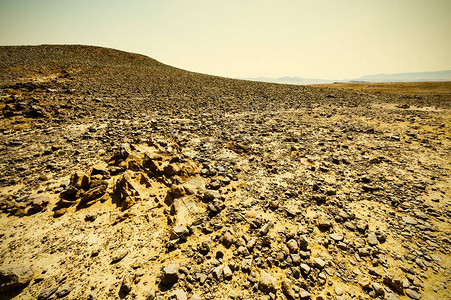 以色列沙漠中岩层的欣向荣的景象图片