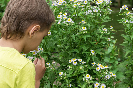 绿色夏日公园里的小男孩闻到小白花的味道暑假时快乐的孩子图片