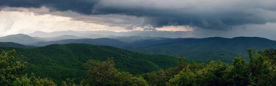 森林山上的雨雾蒙的山风景小山在雨天在风雨如磐的夏日图片