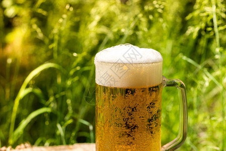 一杯冷鲜活啤酒森林里的啤酒啤酒杯和干鱼在开放自然的背景下图片