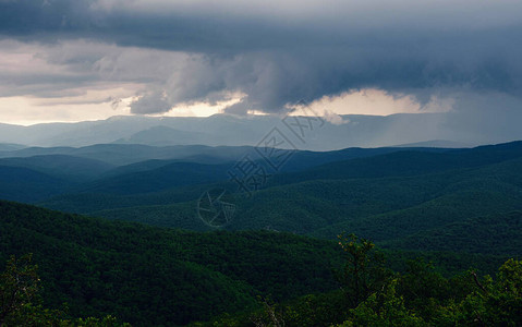 森林山上的雨雾蒙的山风景小山在雨天在风雨如磐的夏日背景图片