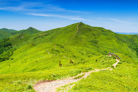 山景Bieszczady公园草原和全景喀尔巴阡山脉景观图片