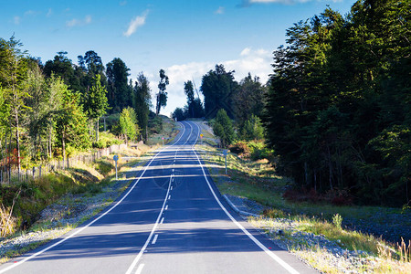 树木风景Austral的景象公路背景