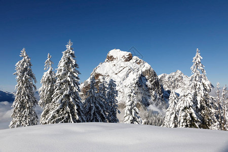 在瑞士中部一个美丽的冬季日子里雪覆盖的鲜雪小木林背景是山地格罗斯特密森M图片