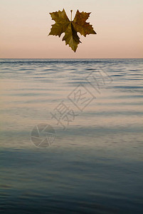 意大利威尼斯亚得里亚海的日图片