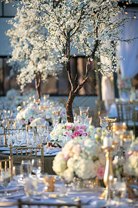 春季的婚礼晚宴桌装饰以粉红玫瑰和白图片