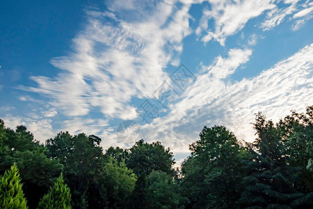 云和天空与绿树图片