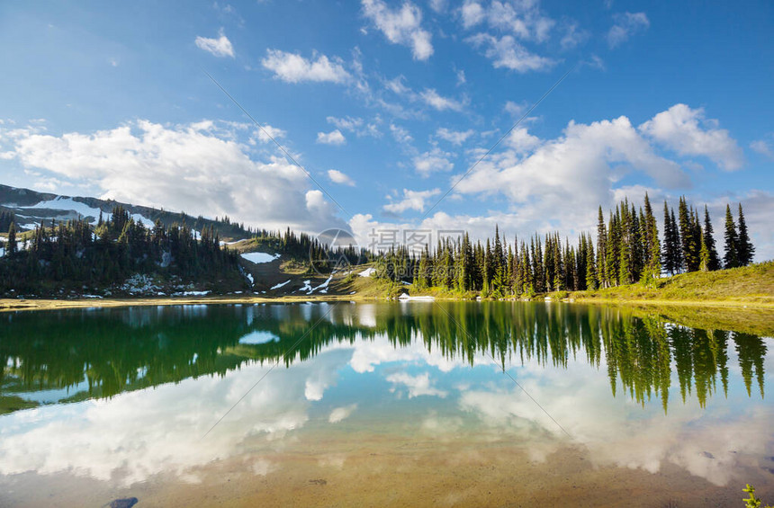 夏季山区的宁静湖美丽的自然风景笑声图片