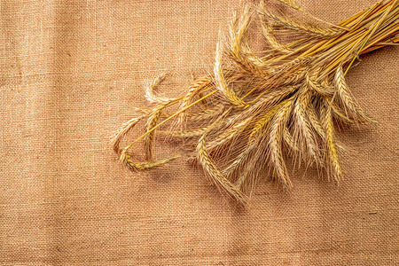 亚麻质地或棕色天然棉背景上的麦穗或黑麦穗植物图片