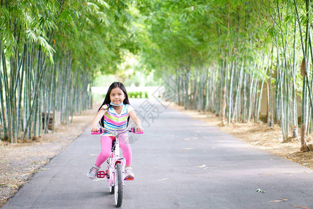 骑自行车或在公园里骑自行车或人们骑自行车图片