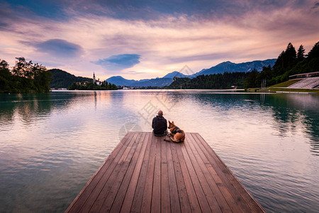 在斯洛文尼亚布莱德湖的男子和狗图片