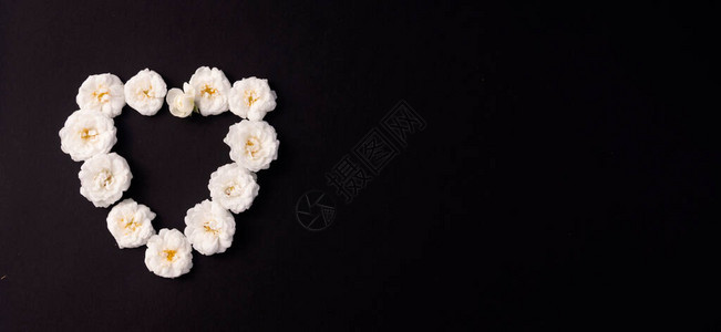 花组成黑色背景上的白色小玫瑰横幅情人节生日春天夏天的概念平躺顶视图片