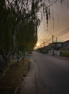 贵州梯田住宅的清晨日出天空场景背景