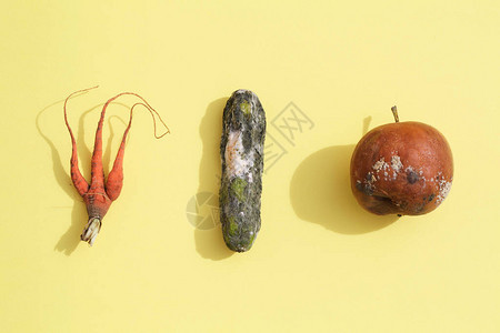腐烂的苹果黄瓜黄底胡萝卜全球饥饿问题图片