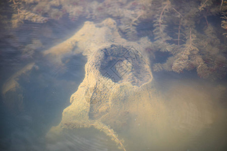 湖中死树枝及其在水上满天云烟的反射阿图片