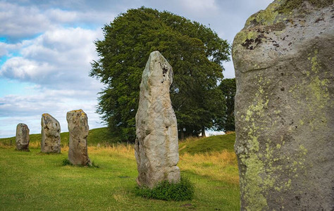 来自埃夫伯里威尔特郡历史圈的令人印象深刻的立石可以看到绵羊在巨大的岩石图片