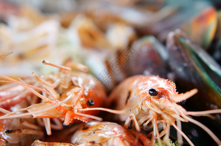 海鲜烤虾和贻贝配鱿鱼或章鱼图片