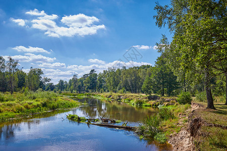 具有平静河流和绿色植被的风景观白图片